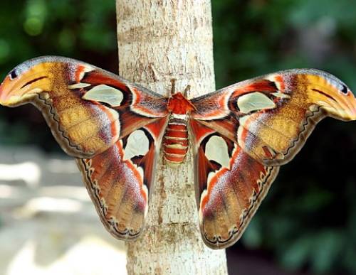 imgi_16_p1089420468-3